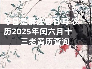 今日是拆迁吉日吗 农历2025年闰六月十三老黄历查询