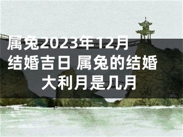 属兔2023年12月结婚吉日 属兔的结婚大利月是几月