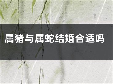 属猪与属蛇结婚合适吗