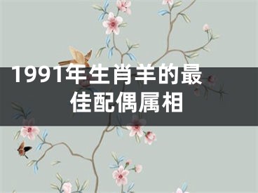 1991年生肖羊的最佳配偶属相