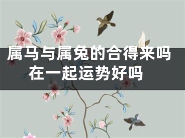 属马与属兔的合得来吗 在一起运势好吗