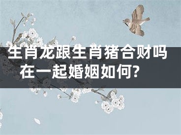 生肖龙跟生肖猪合财吗 在一起婚姻如何?