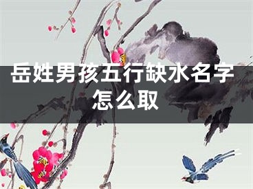 岳姓男孩五行缺水名字怎么取