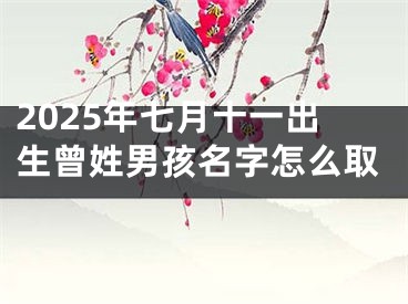 2025年七月十一出生曾姓男孩名字怎么取