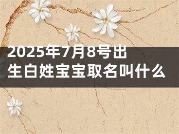 2025年7月8号出生白姓宝宝取名叫什么