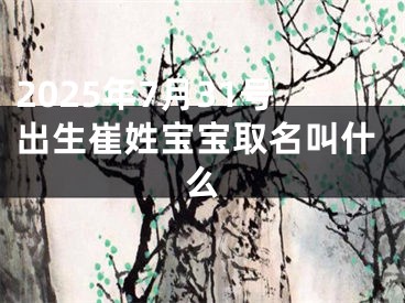 2025年7月31号出生崔姓宝宝取名叫什么