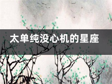 太单纯没心机的星座