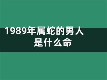 1989年属蛇的男人是什么命