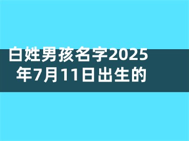 白姓男孩名字2025年7月11日出生的