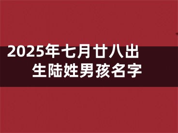 2025年七月廿八出生陆姓男孩名字