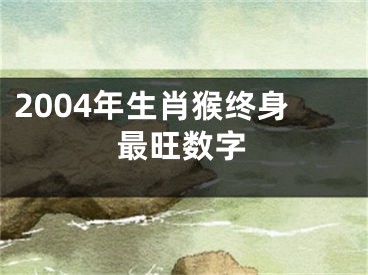 2004年生肖猴终身最旺数字