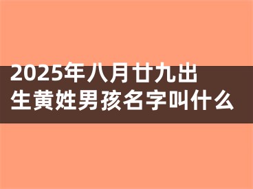 2025年八月廿九出生黄姓男孩名字叫什么