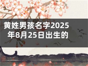 黄姓男孩名字2025年8月25日出生的