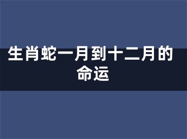生肖蛇一月到十二月的命运