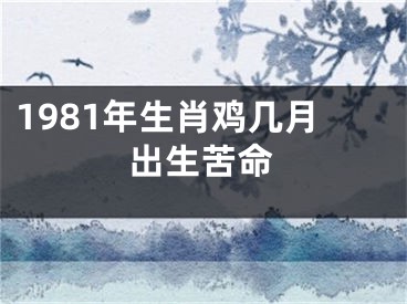 1981年生肖鸡几月出生苦命