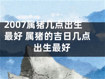 2007属猪几点出生最好 属猪的吉日几点出生最好