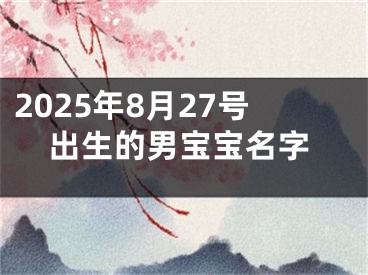 2025年8月27号出生的男宝宝名字