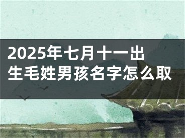 2025年七月十一出生毛姓男孩名字怎么取