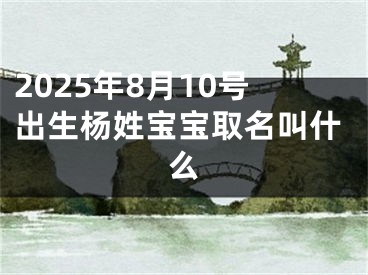 2025年8月10号出生杨姓宝宝取名叫什么
