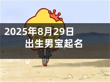 2025年8月29日出生男宝起名