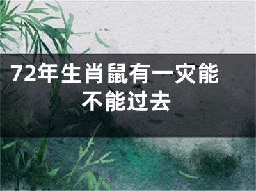 72年生肖鼠有一灾能不能过去