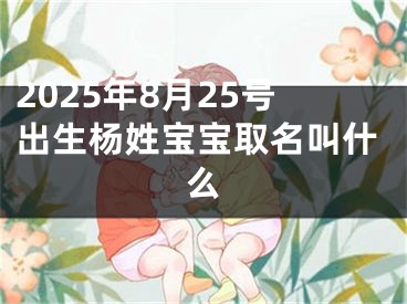 2025年8月25号出生杨姓宝宝取名叫什么