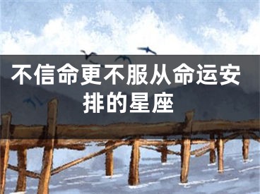 不信命更不服从命运安排的星座