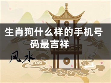 生肖狗什么样的手机号码最吉祥 