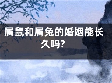 属鼠和属兔的婚姻能长久吗?