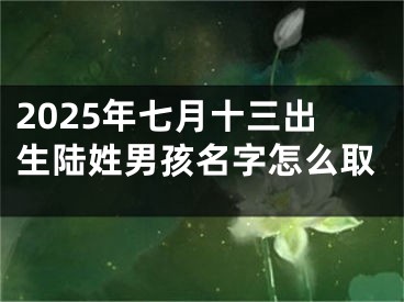 2025年七月十三出生陆姓男孩名字怎么取