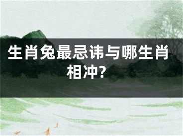 生肖兔最忌讳与哪生肖相冲?