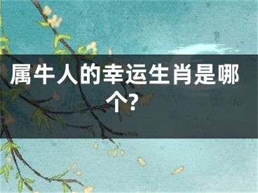 属牛人的幸运生肖是哪个?