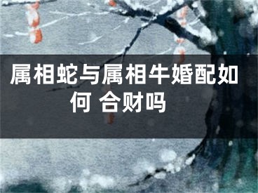 属相蛇与属相牛婚配如何 合财吗