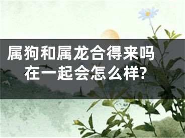 属狗和属龙合得来吗 在一起会怎么样?
