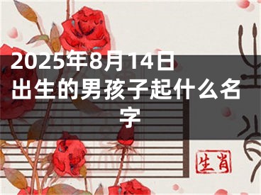 2025年8月14日出生的男孩子起什么名字