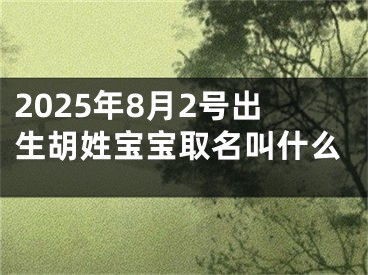 2025年8月2号出生胡姓宝宝取名叫什么
