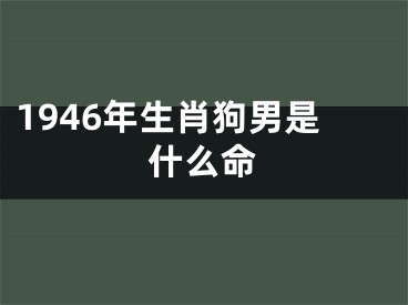 1946年生肖狗男是什么命
