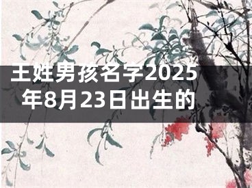 王姓男孩名字2025年8月23日出生的