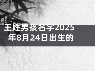 王姓男孩名字2025年8月24日出生的