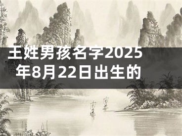 王姓男孩名字2025年8月22日出生的