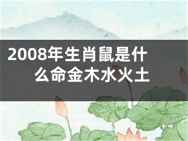 2008年生肖鼠是什么命金木水火土