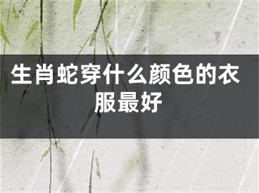 生肖蛇穿什么颜色的衣服最好
