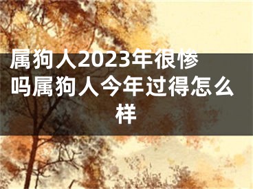 属狗人2023年很惨吗属狗人今年过得怎么样