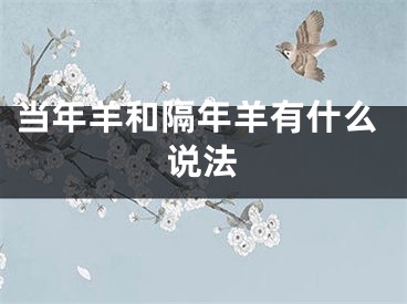 当年羊和隔年羊有什么说法