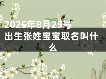 2025年8月25号出生张姓宝宝取名叫什么