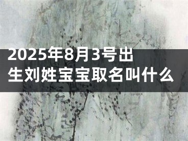 2025年8月3号出生刘姓宝宝取名叫什么