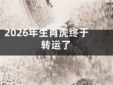 2026年生肖虎终于转运了