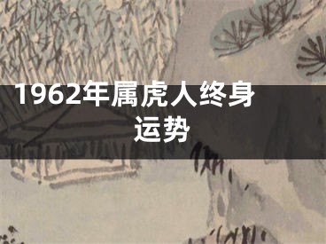 1962年属虎人终身运势