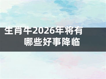 生肖牛2026年将有哪些好事降临