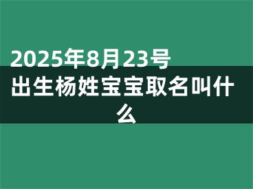 2025年8月23号出生杨姓宝宝取名叫什么